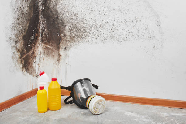 Best Crawl Space Mold Removal  in Cedar Rapids, IA