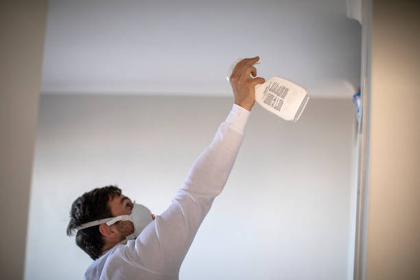 Best Local Mold Removal Service  in Cedar Rapids, IA